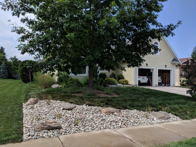 Front yard revitalization with drought-tolerant fescue and xeriscaping in Thornbury by EcoCultures