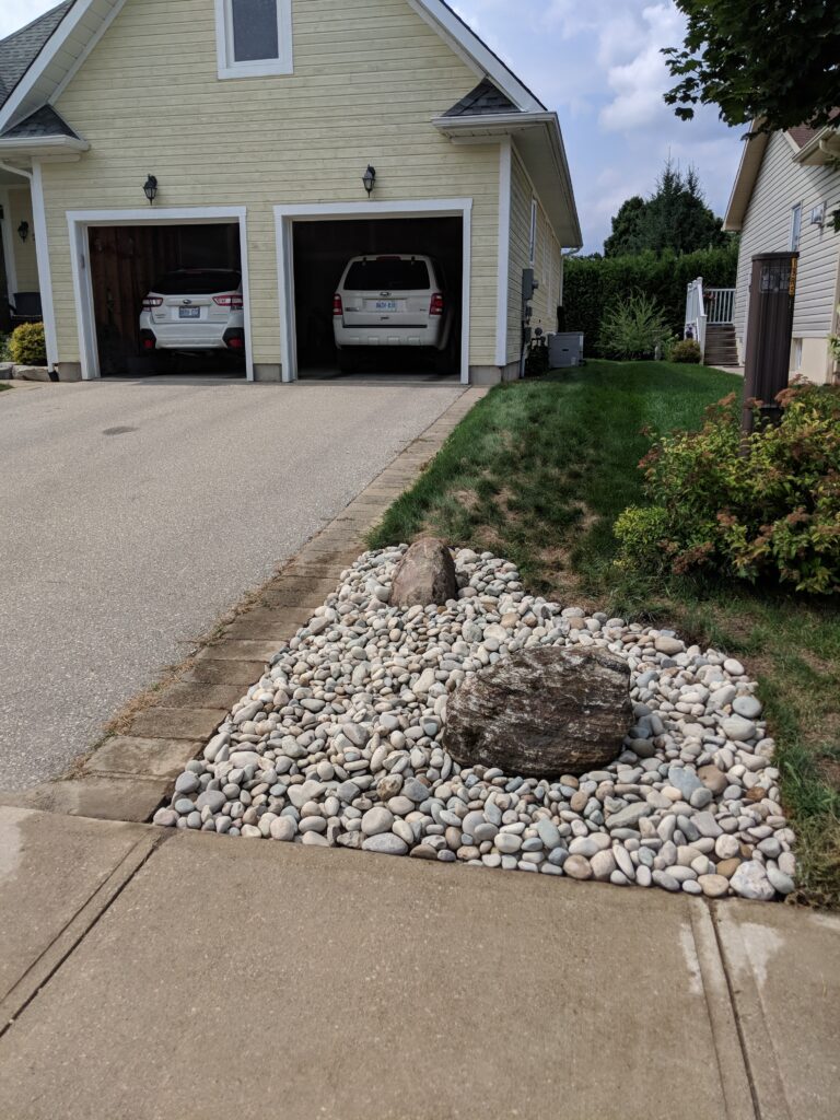 Front yard revitalization with drought-tolerant fescue and xeriscaping in Thornbury by EcoCultures